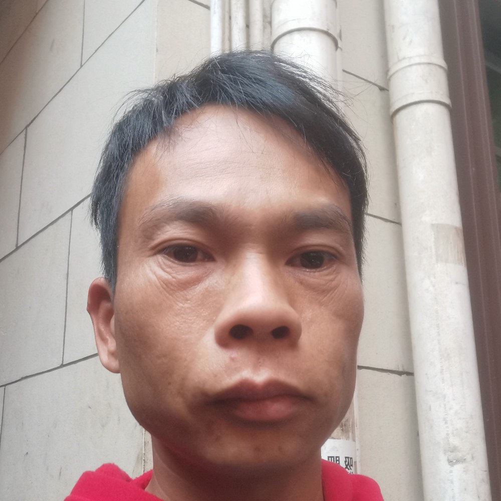 乌龟回首无情的照片