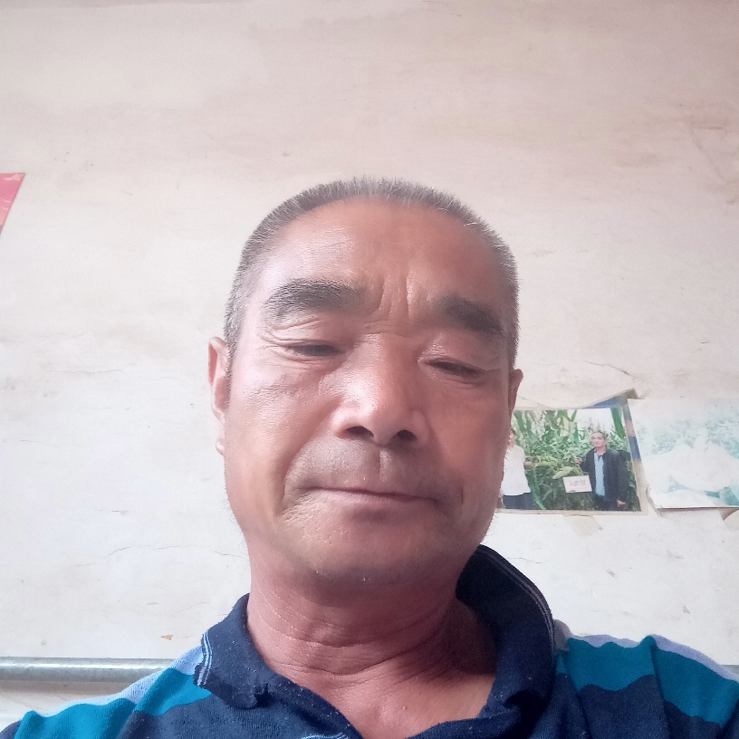 板凳吃醋土豪的照片