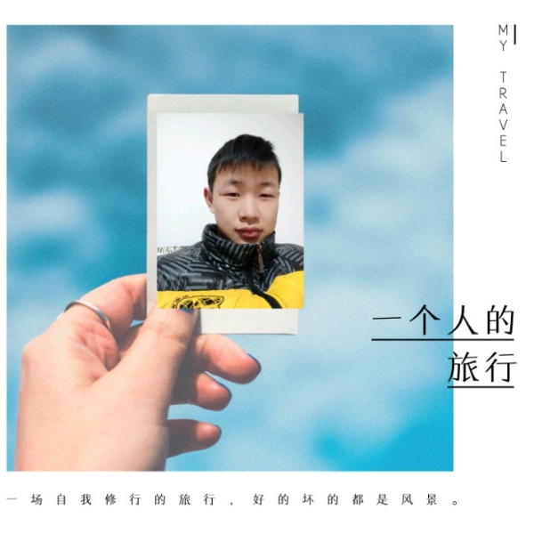 温婉相许树叶的照片