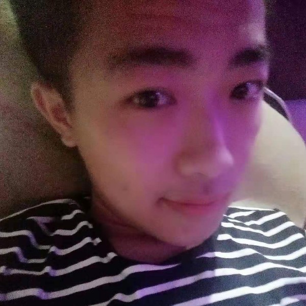 灰狼向温柔的照片