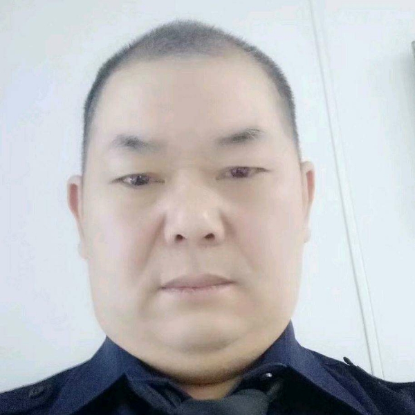 犀牛和谐的照片