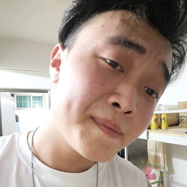 唯一的，炮兵的照片