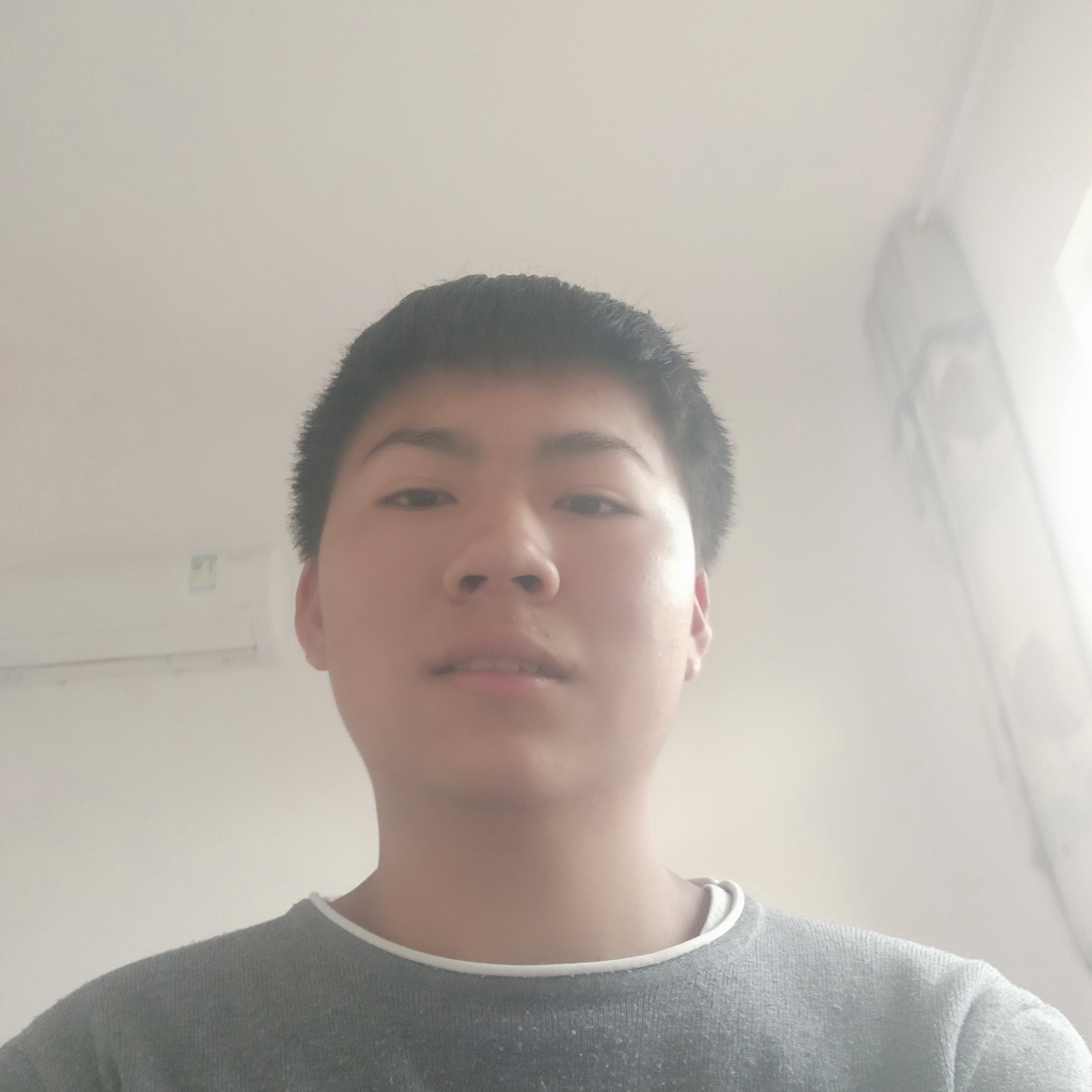 幻殇怕孤单希哥的照片
