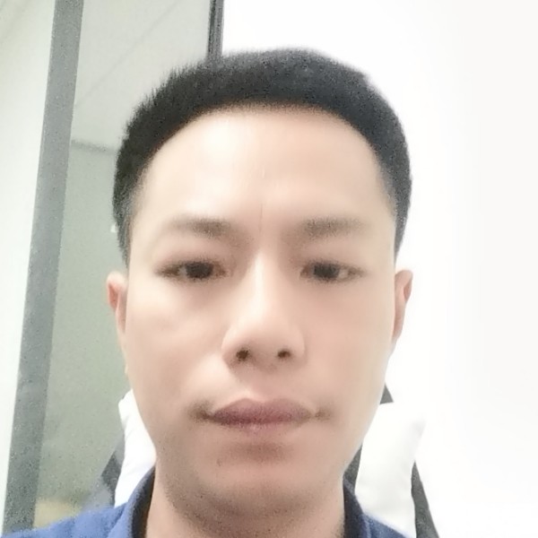 翅膀的勤恳的照片
