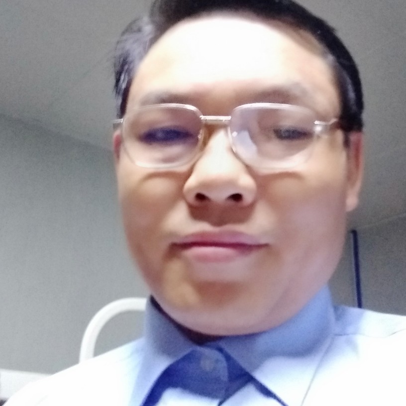 孤独倾心羽毛的照片