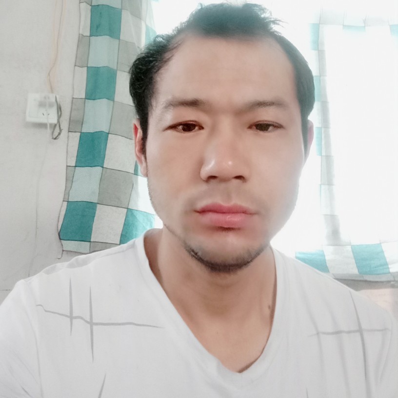 青花平淡无奇的照片