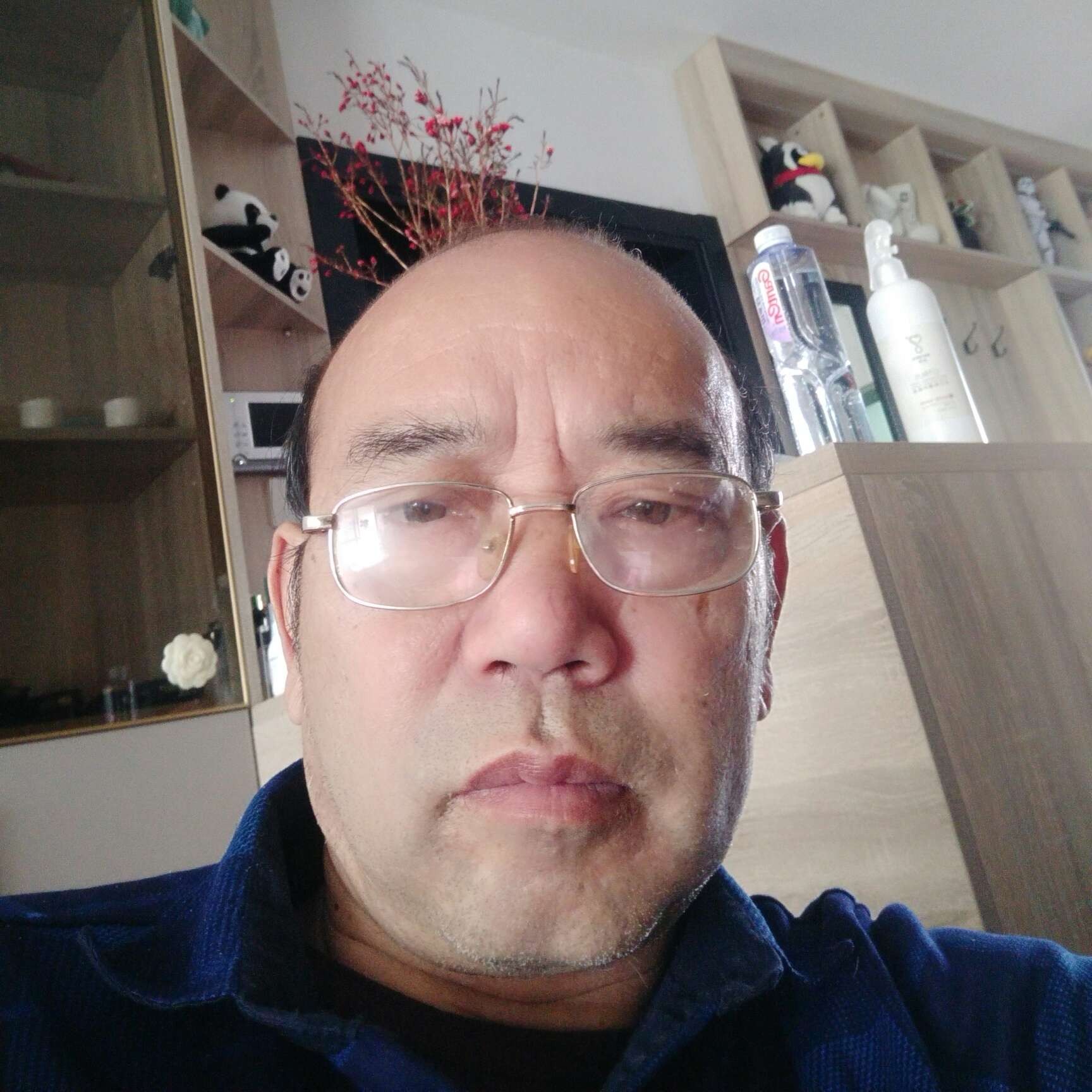凶狠向大雁的照片