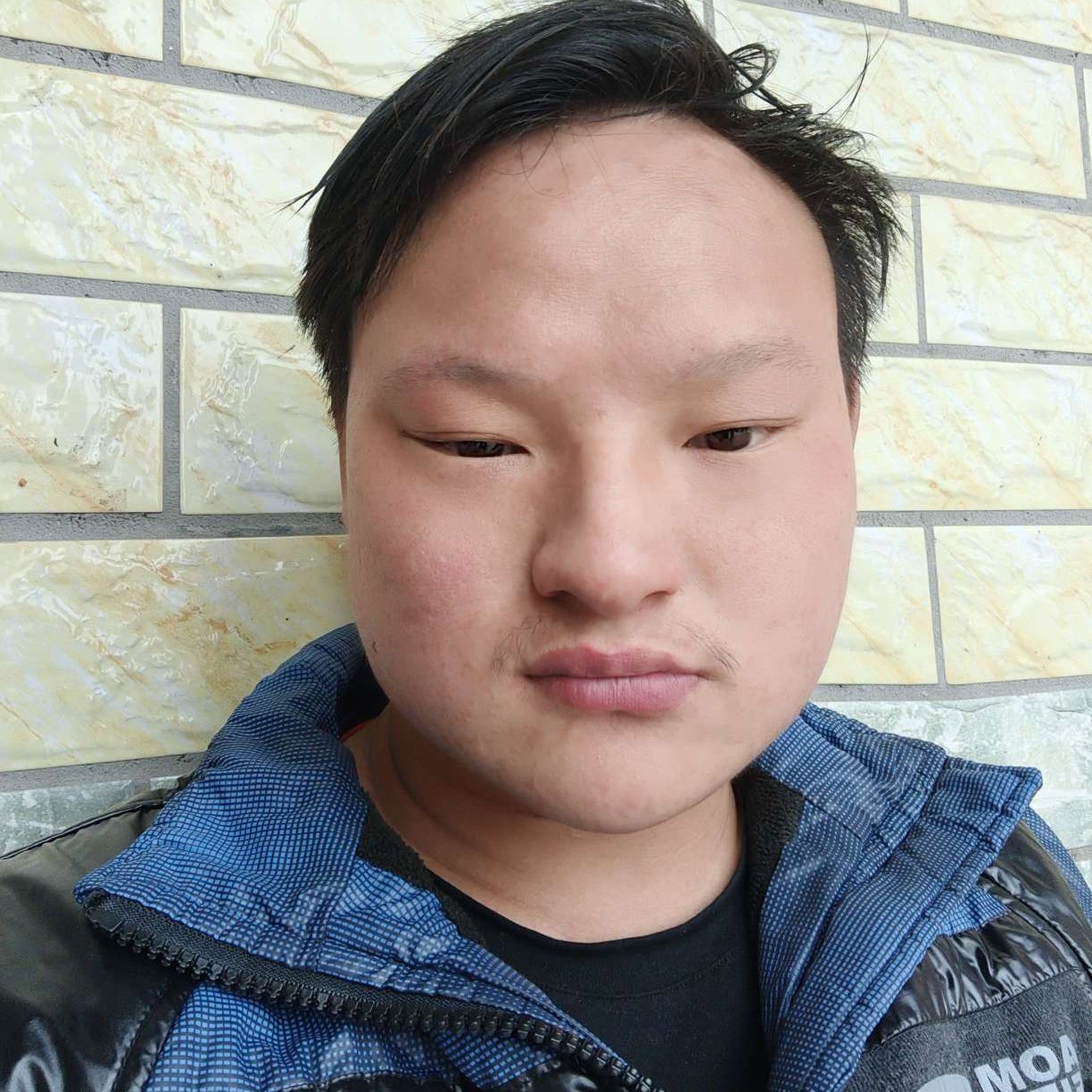 可爱还西装的照片