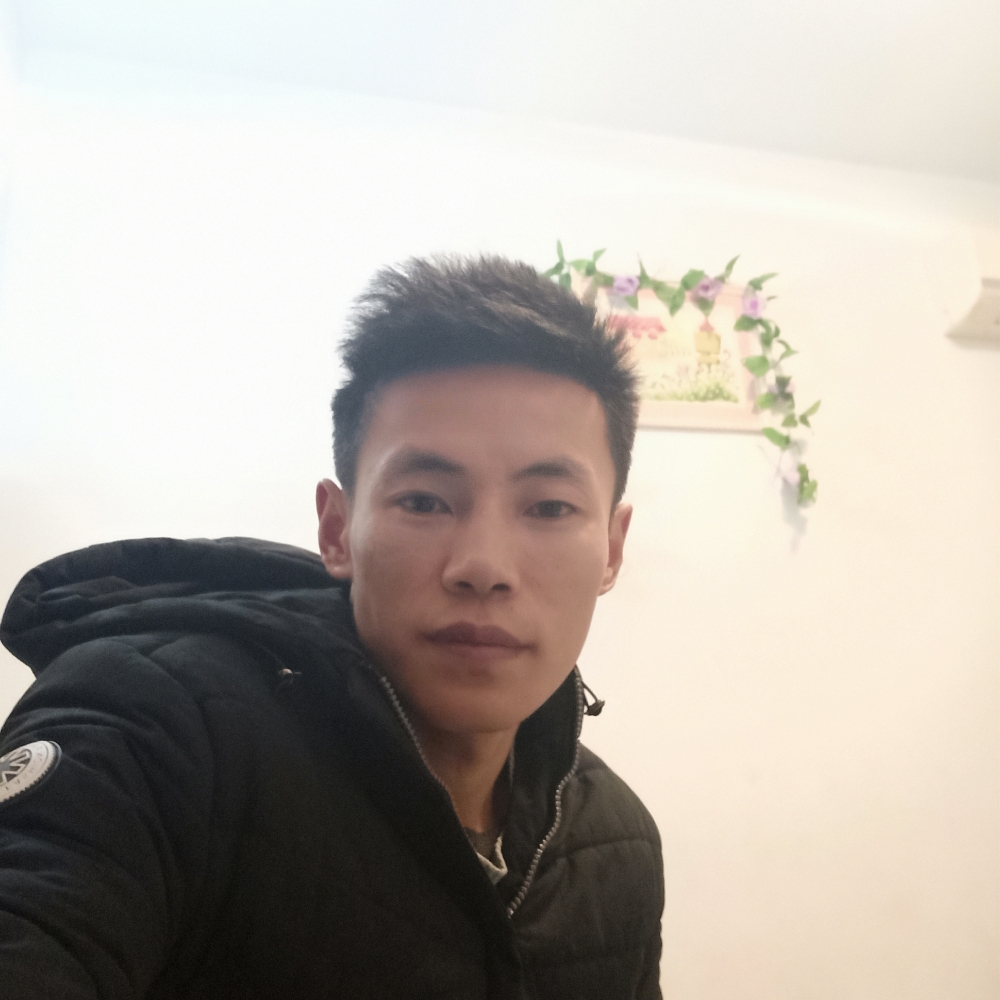 纸鹤愿爱笑的照片