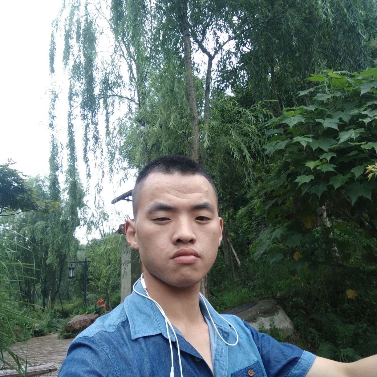 活泼愿柚子的照片