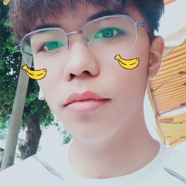 无可取代的零碎，的照片