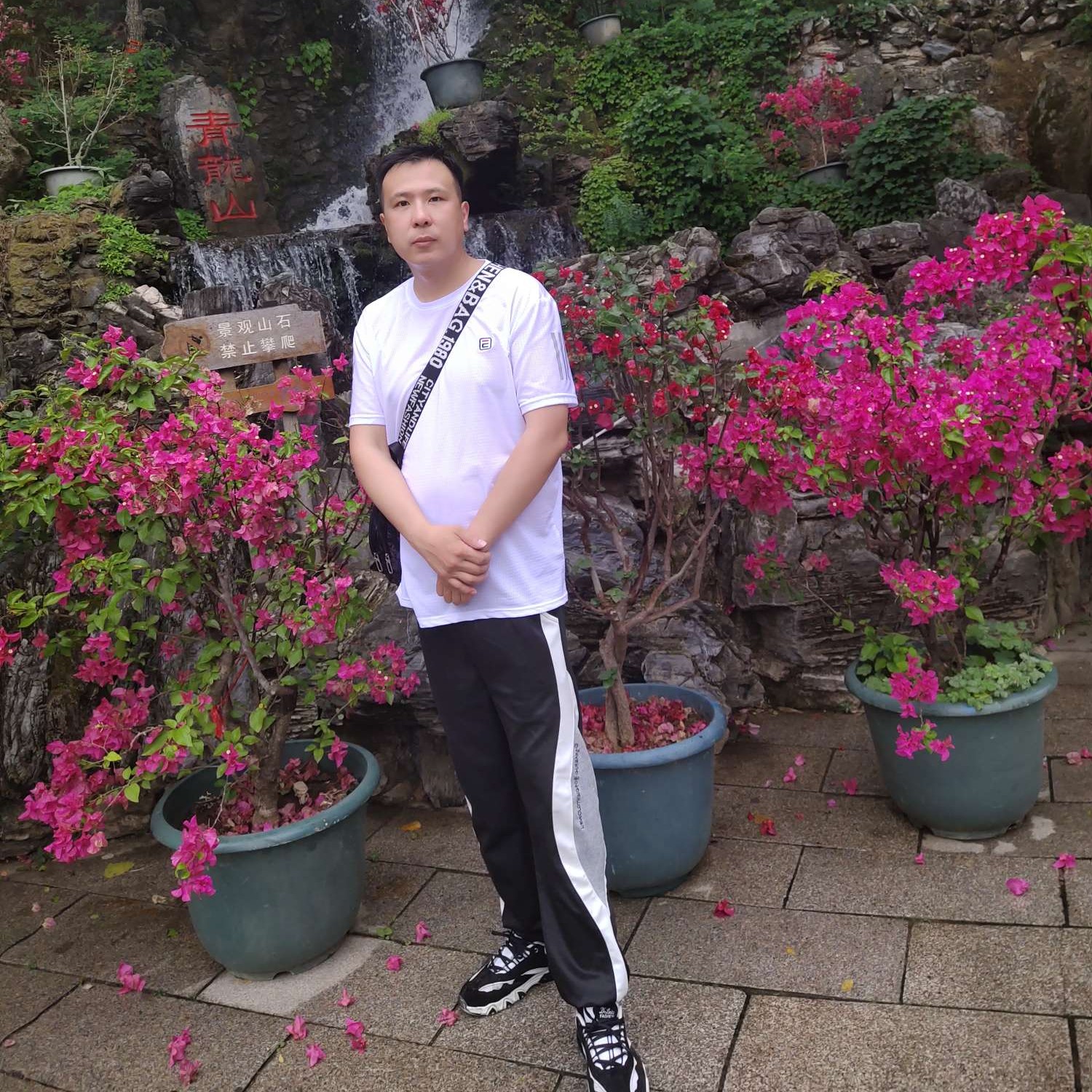 阳光深拥柠檬的照片