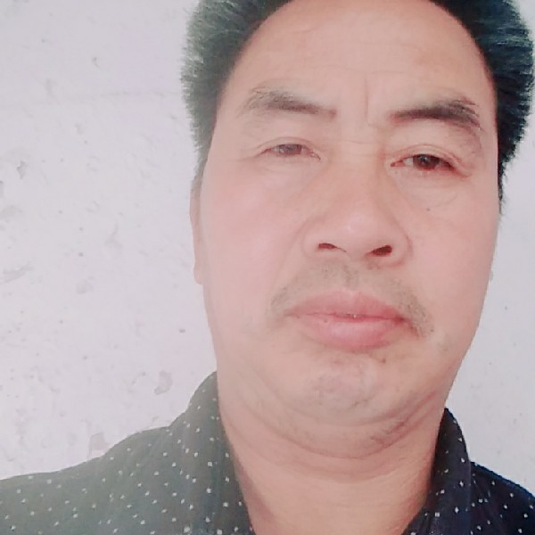 长颈鹿无心的照片