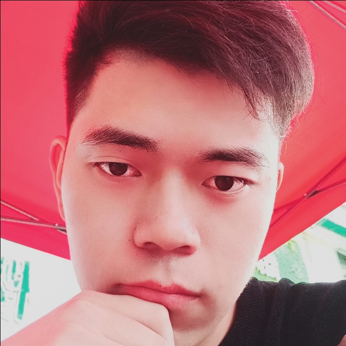 阳光下的蚂蚁的照片