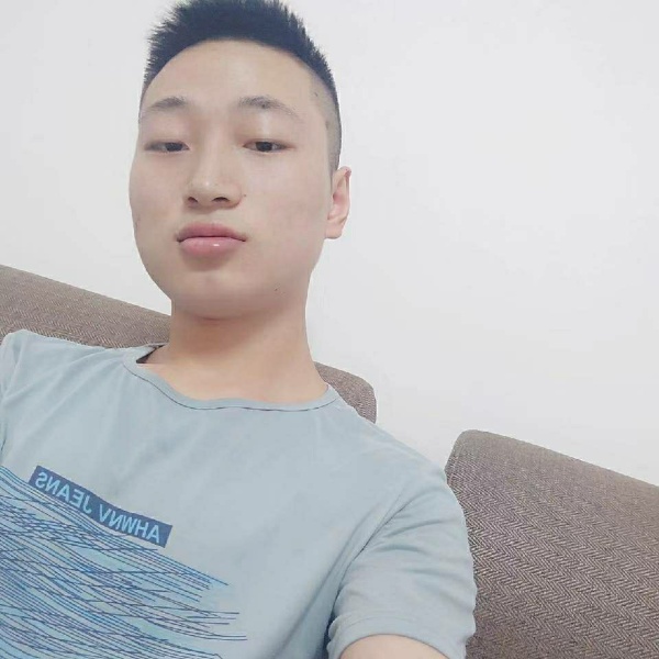 你迷树叶的照片