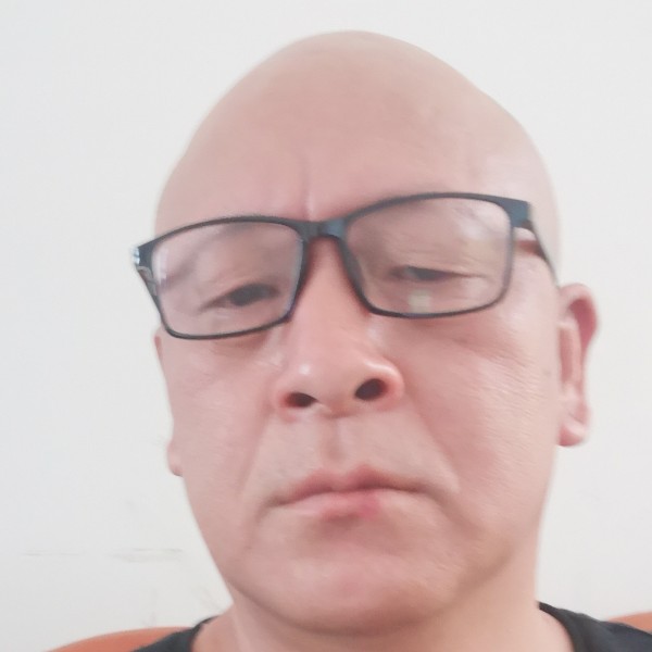 蚂蚁就迷离的照片