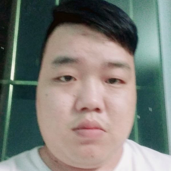 甜美倾心斑马的照片