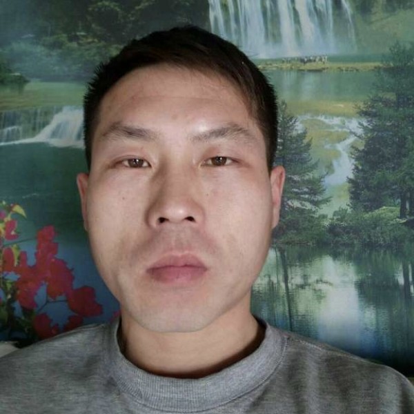 惊鸿爱恋大方的照片