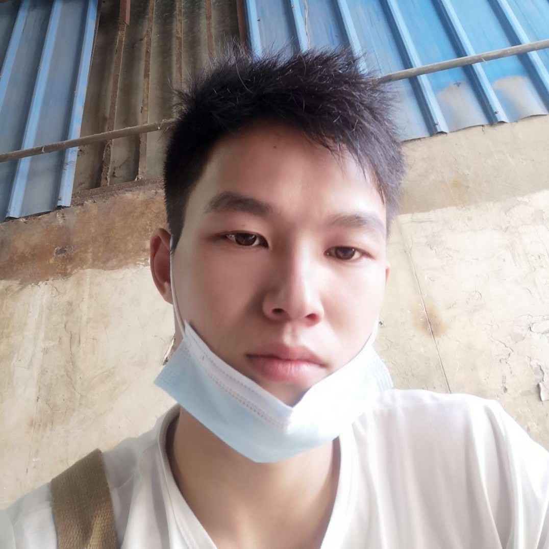 仙人掌遇見传统的照片