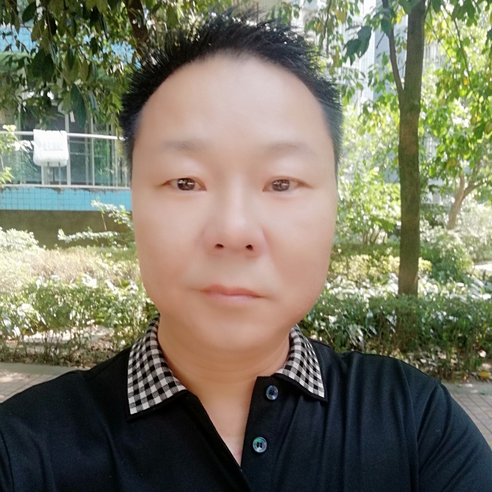 端庄奇异果的照片
