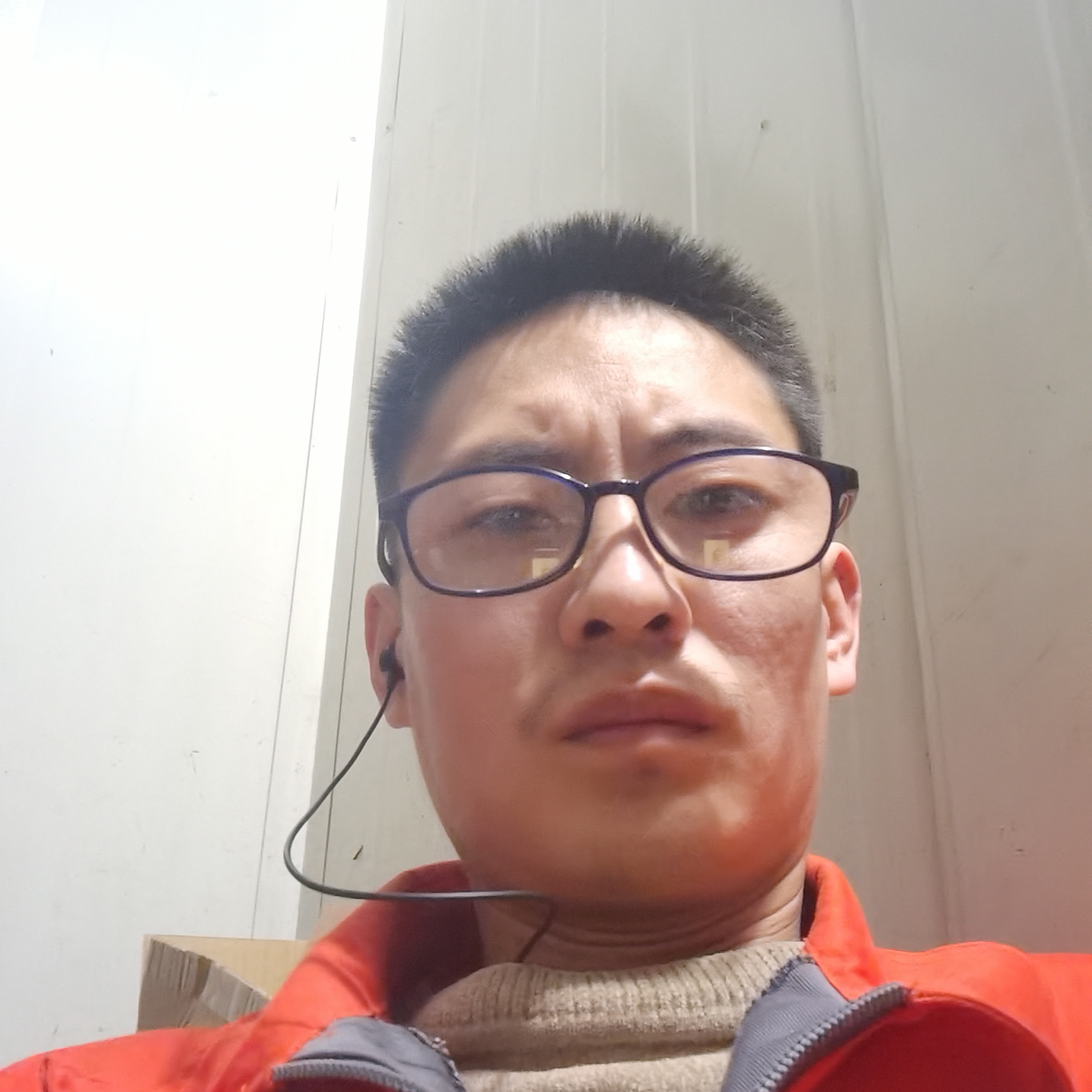 白猫回首舒心的照片