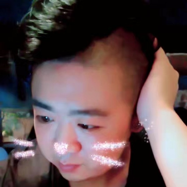 英俊小海鸥的照片