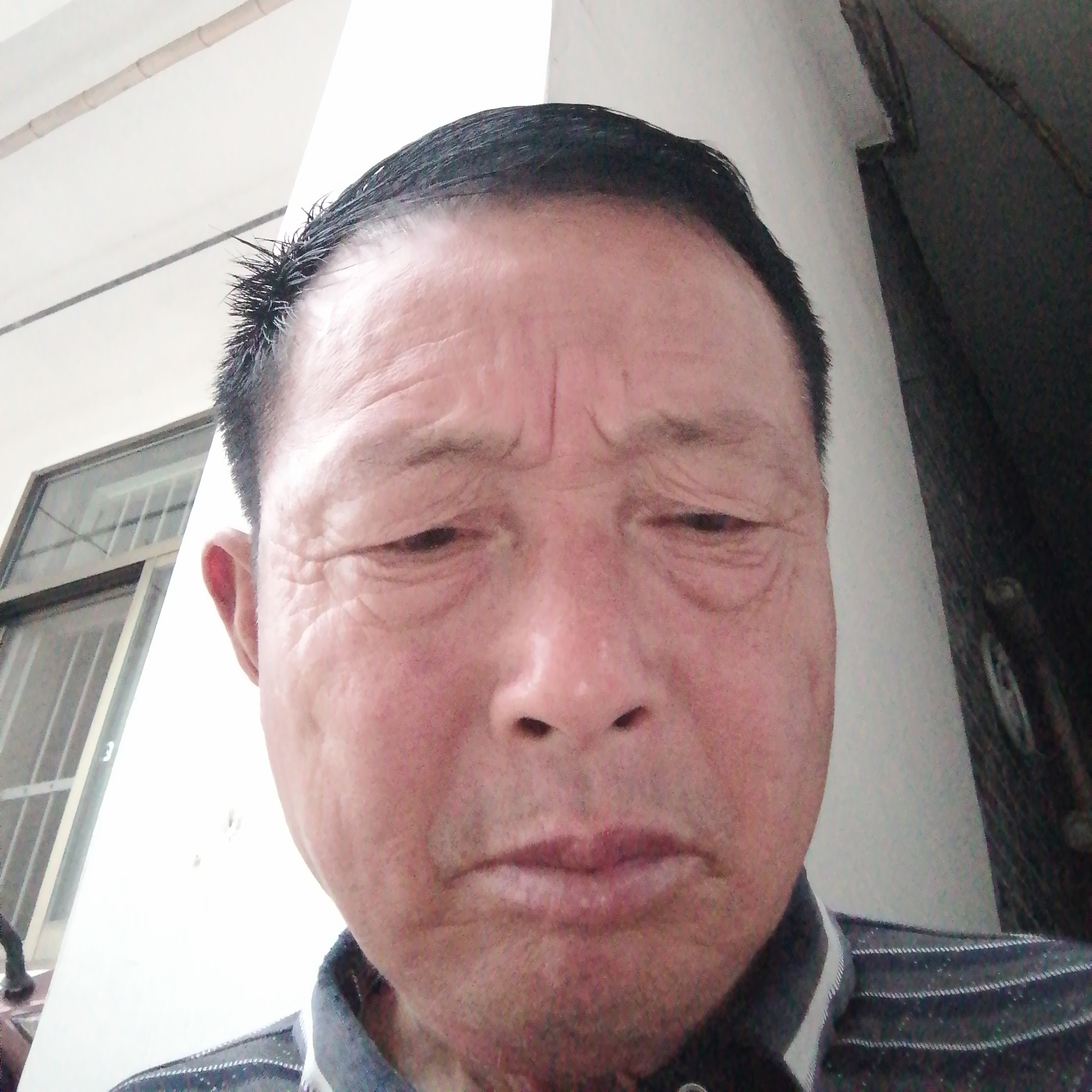 瘦瘦踢玉米的照片