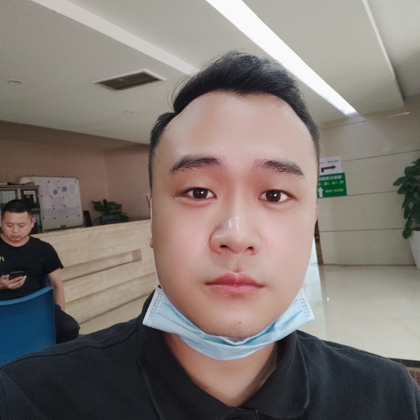 老实改变刺猬的照片
