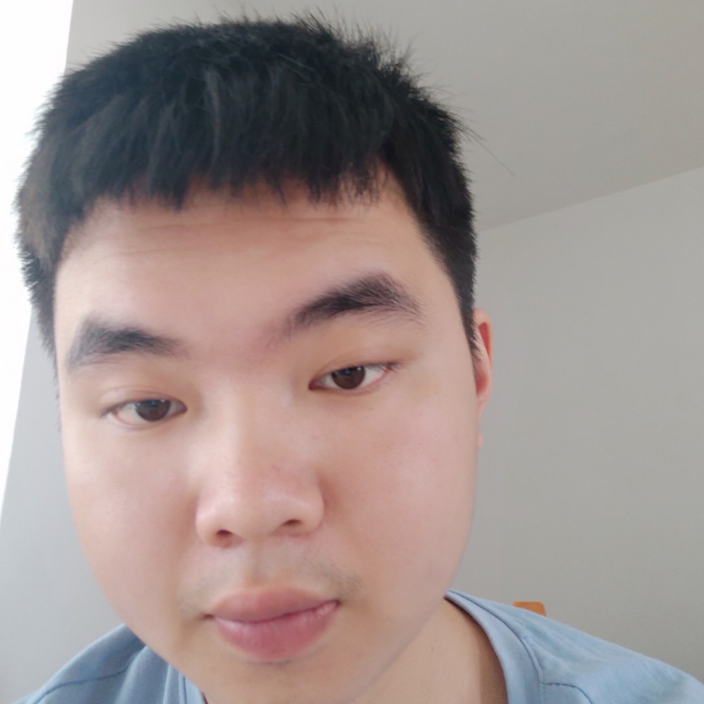 高贵浅吻小海豚的照片