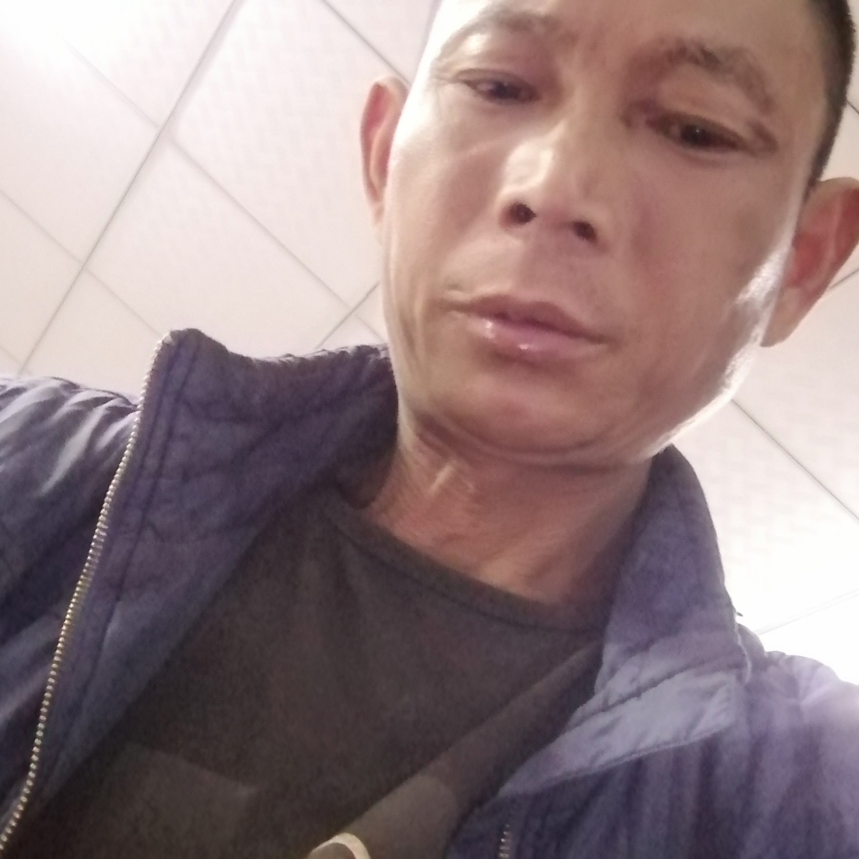 迅速放弃老鼠的照片