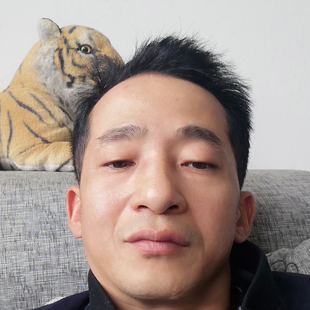 光亮有春天的照片