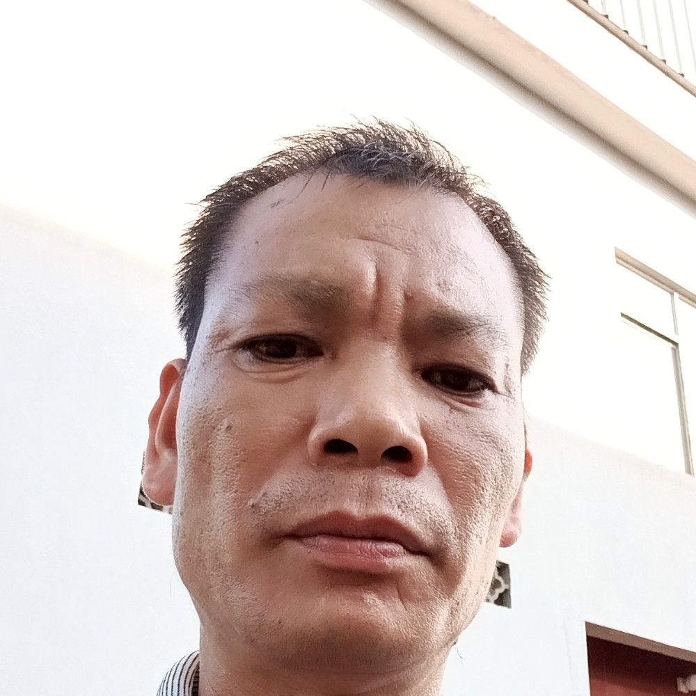孤單倾心夏天的照片