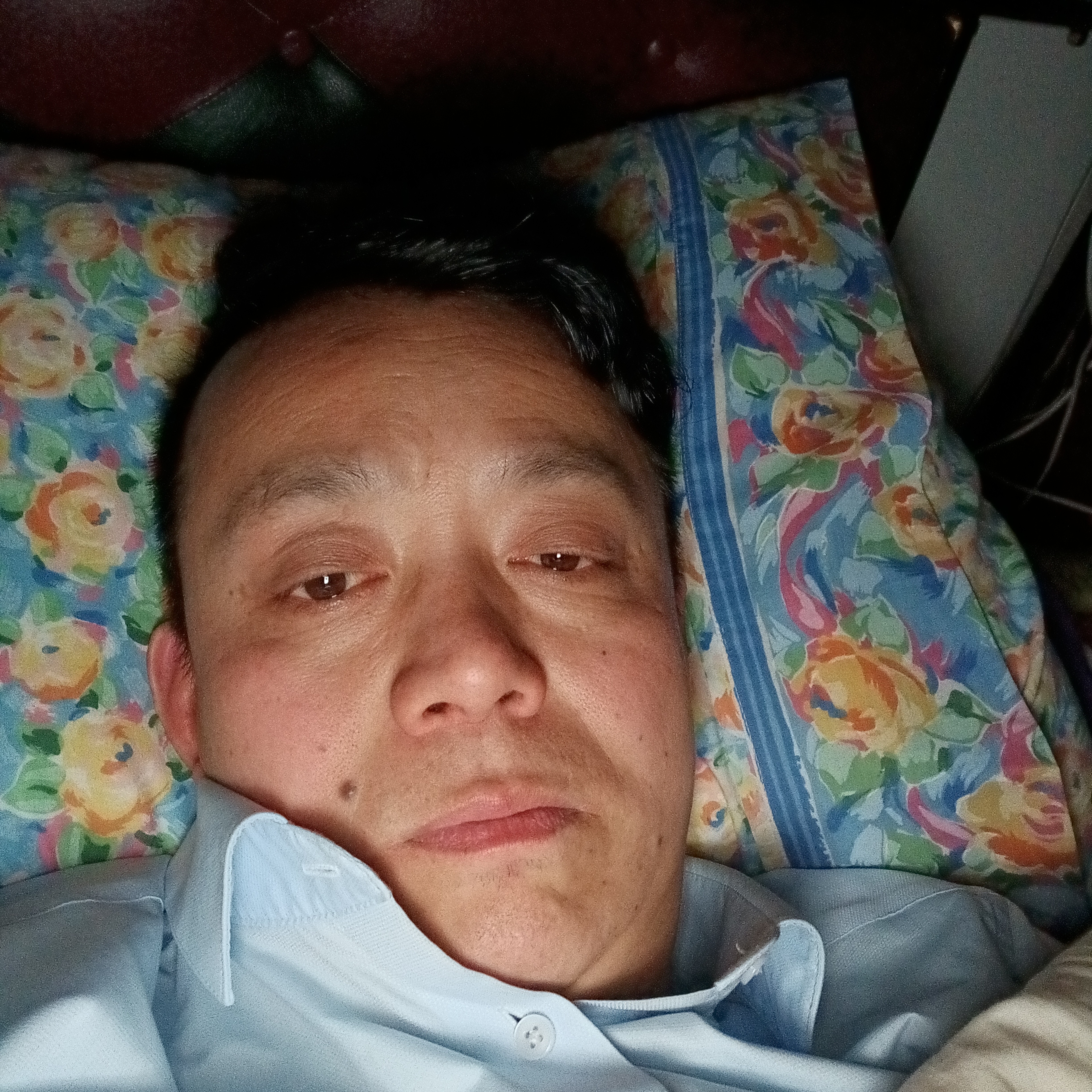 呆萌邂逅钻石的照片