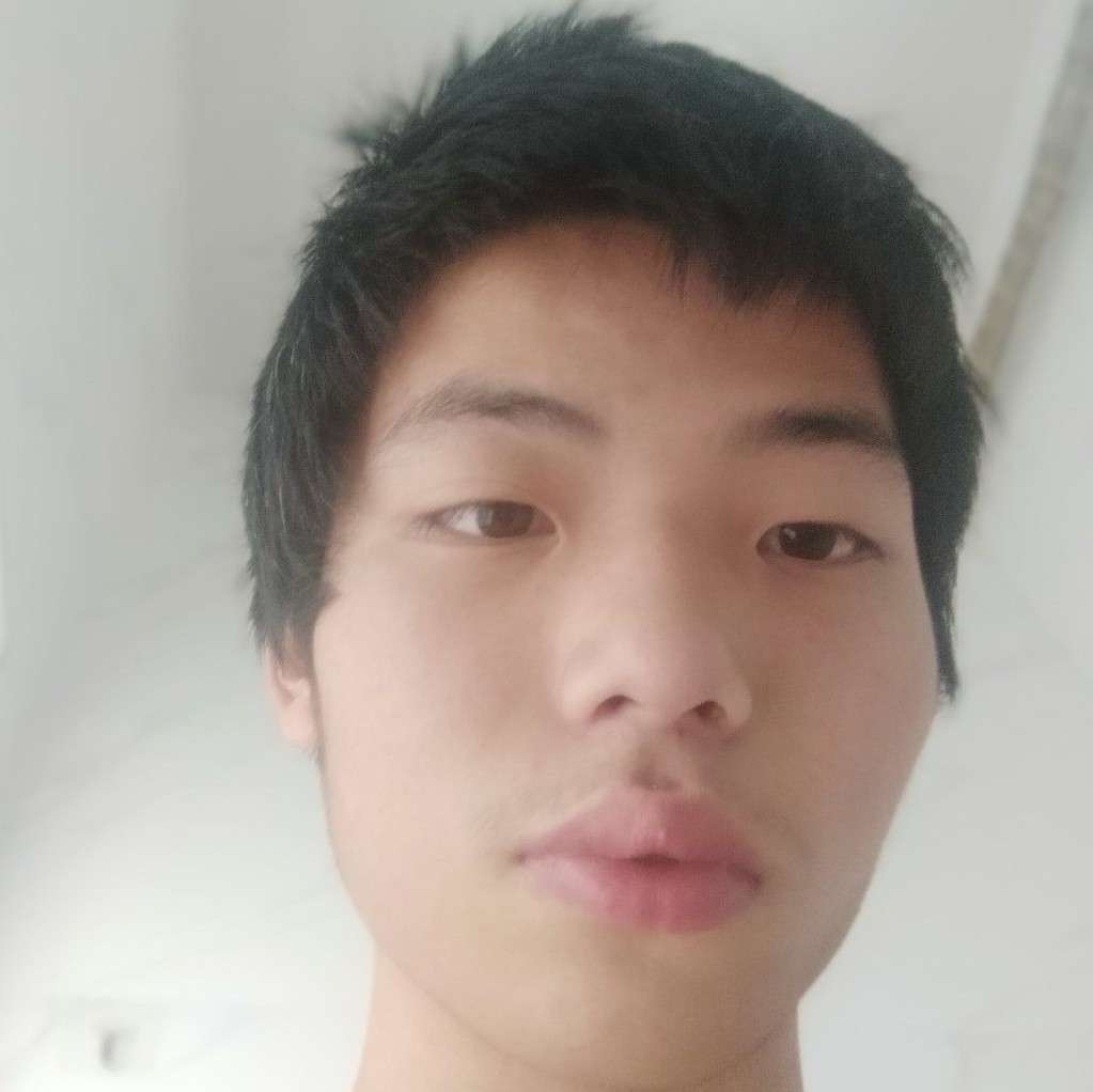 小鸽子爱刻苦的照片