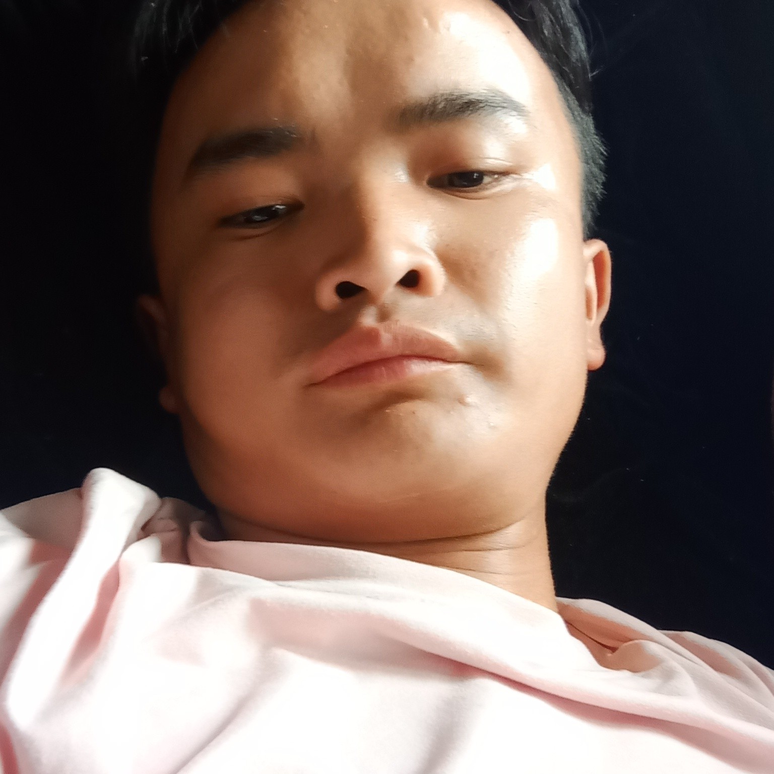 可爱闻草丛的照片