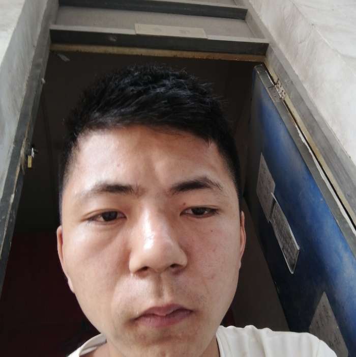 坚强向含羞草的照片