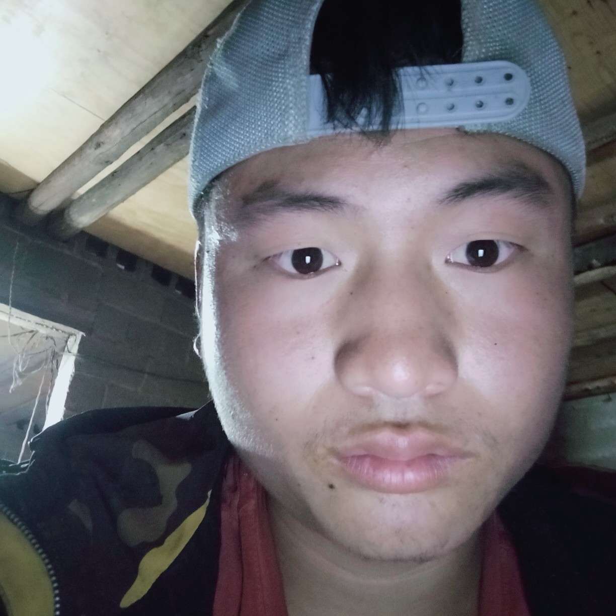 悲凉苦恋小白菜的照片