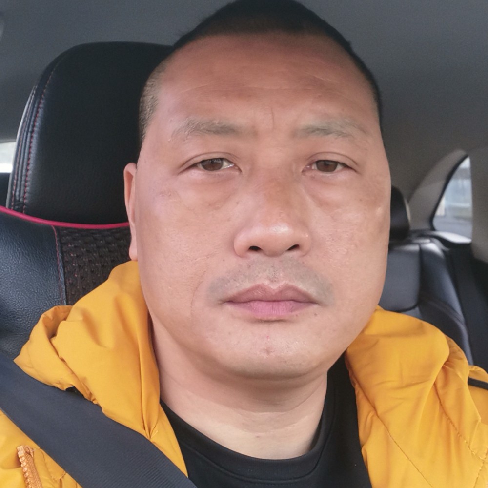 幸福的斑马的照片