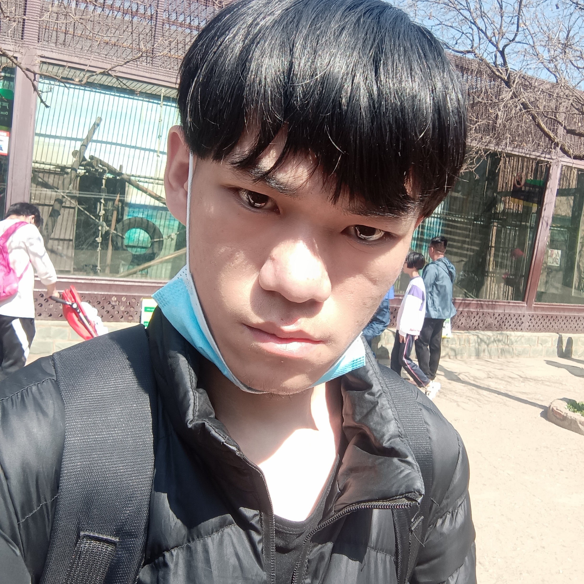 高挑就小兔子的照片