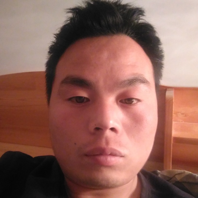 冰淇淋520的照片