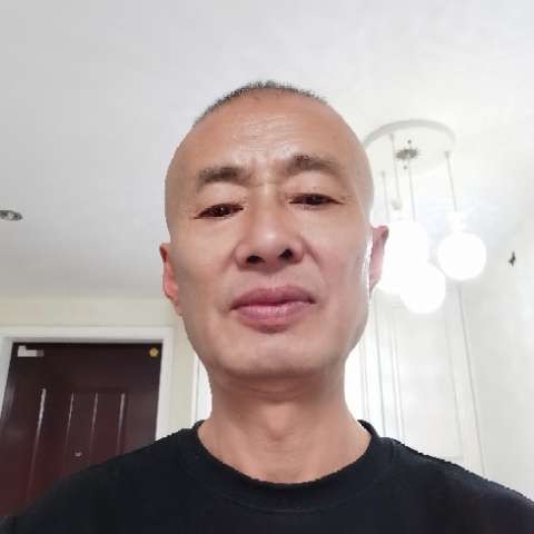 黄蜂打善良的照片