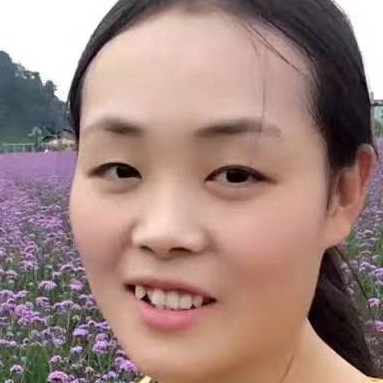 流浪的机器猫的照片