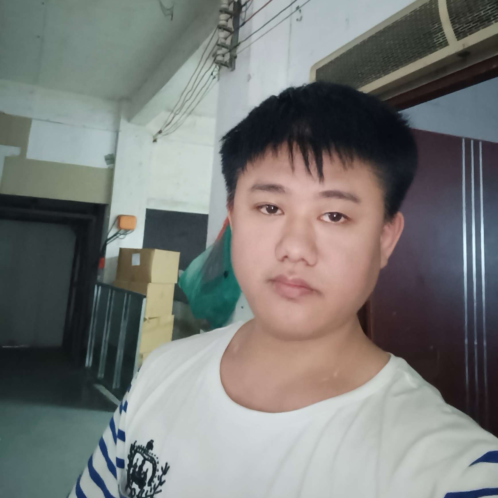傻傻有泥猴桃的照片