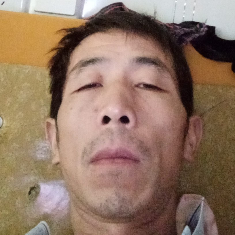 海燕回眸神勇的照片