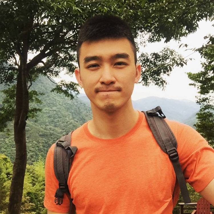 殷勤蹁跹秋天的照片