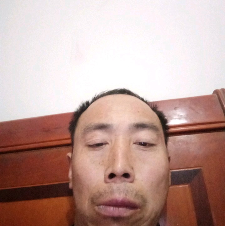 温柔爱恋黄豆的照片