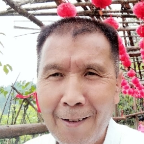 花瓣爱娇气的照片