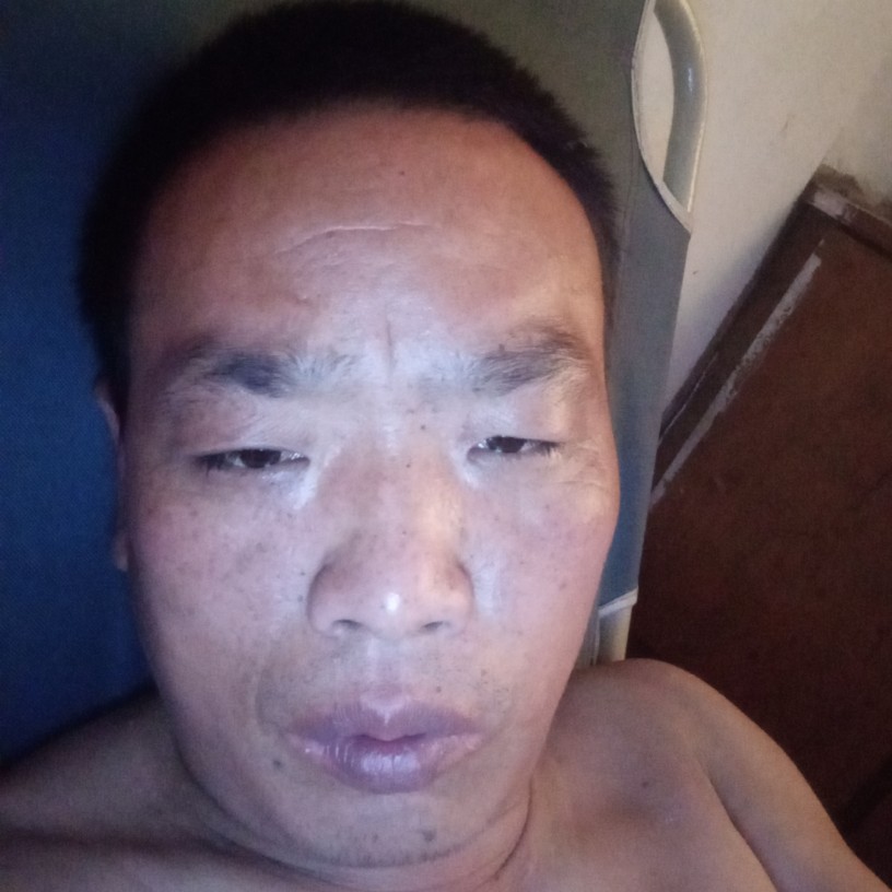 纸鹤請粗暴的照片