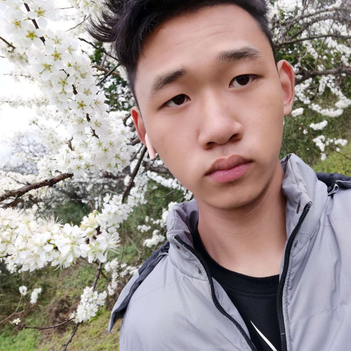 一匹孤狼～蓑的照片
