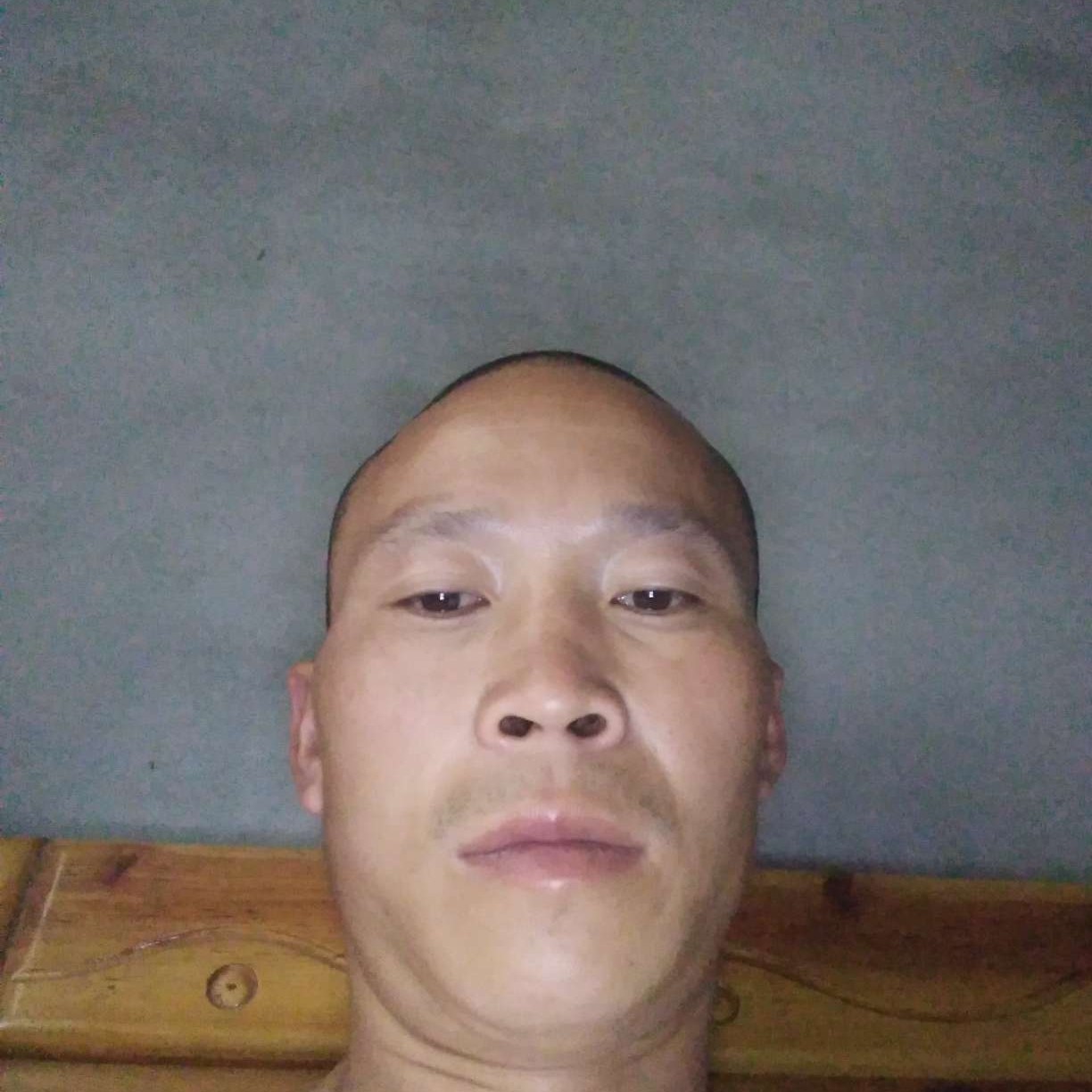 外向多么红玫瑰的照片